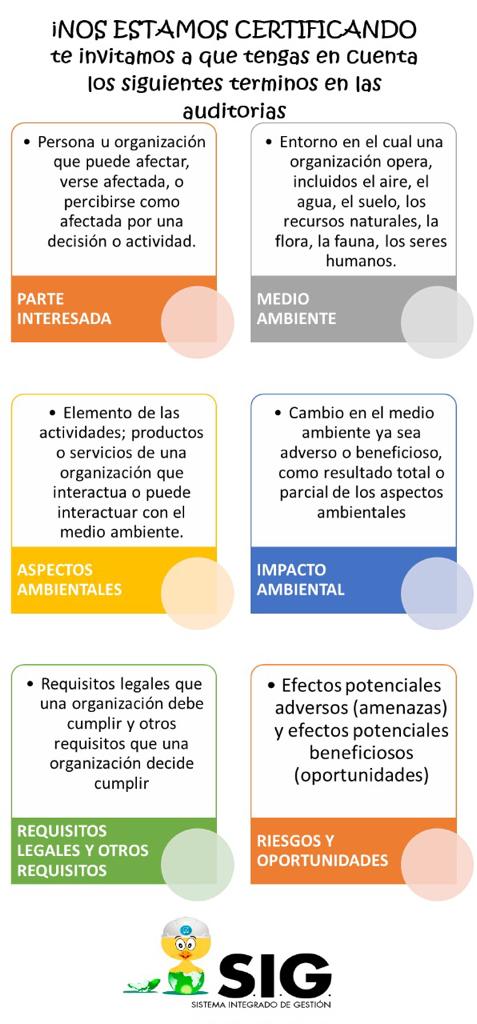 WhatsApp Image 2019 06 13 at 4.15.00 PM 1