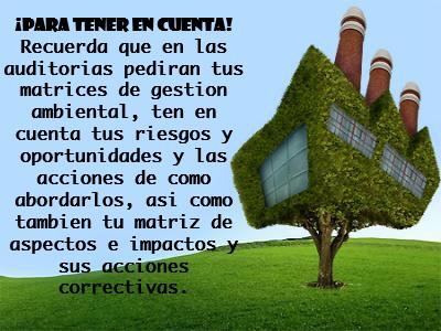 WhatsApp Image 2019 06 14 at 6.57.20 AM